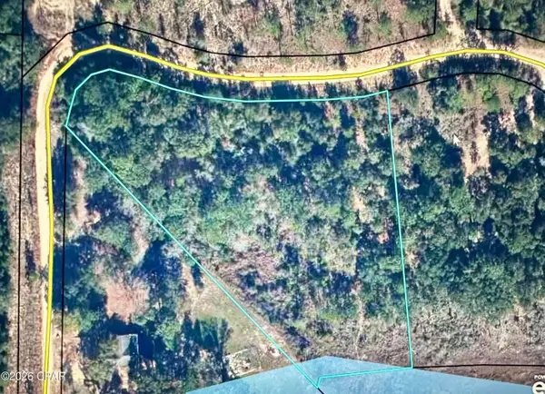 Lot 40 Grassy Pond Road, Chipley, FL 32428