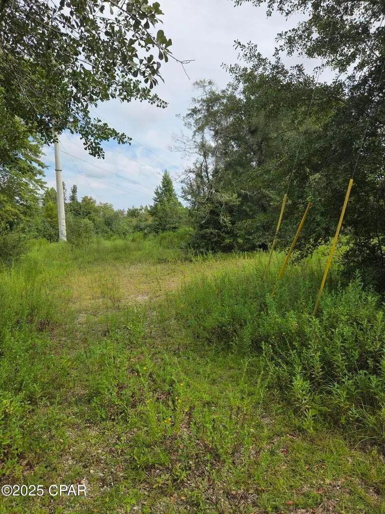 7215 Diane Lane, Panama City, FL 32404 - Image #2