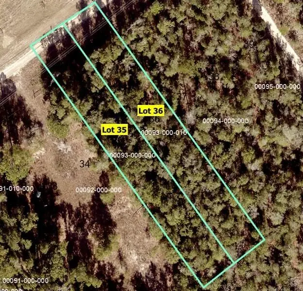 20820 Highway 231, Fountain, FL 32438 - Image #3