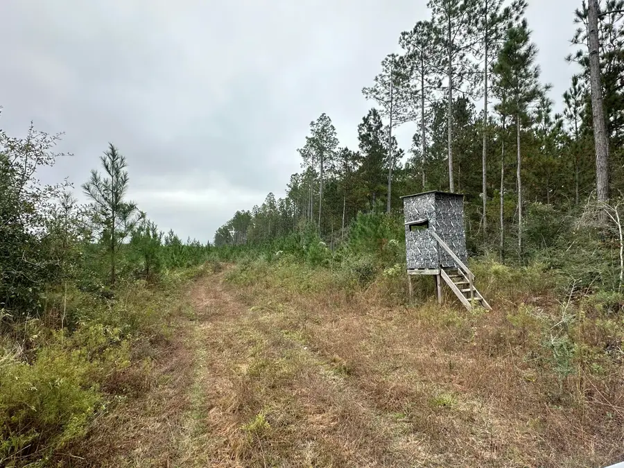 B & D Millside Road, Laurel Hill, FL 32567 - #3