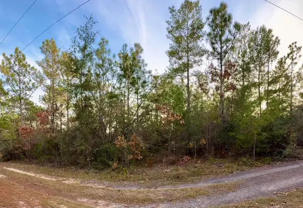 Lots 9-11 Tangerine & Lot 2 Girl Scout, DeFuniak Springs, FL 32433