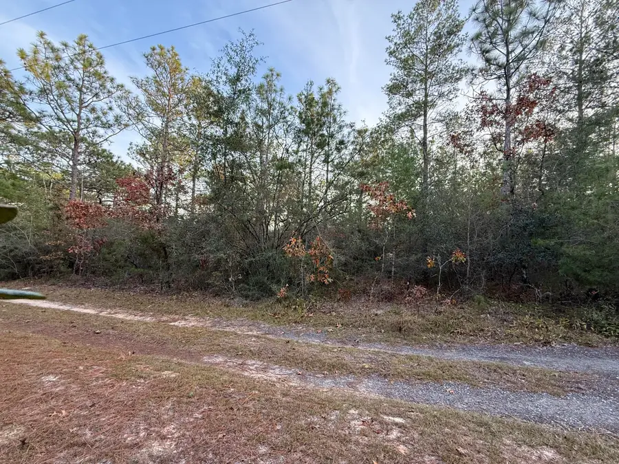 Lots 9-11 Tangerine & Lot 2 Girl Scout, Defuniak Springs, FL 32433 - #2
