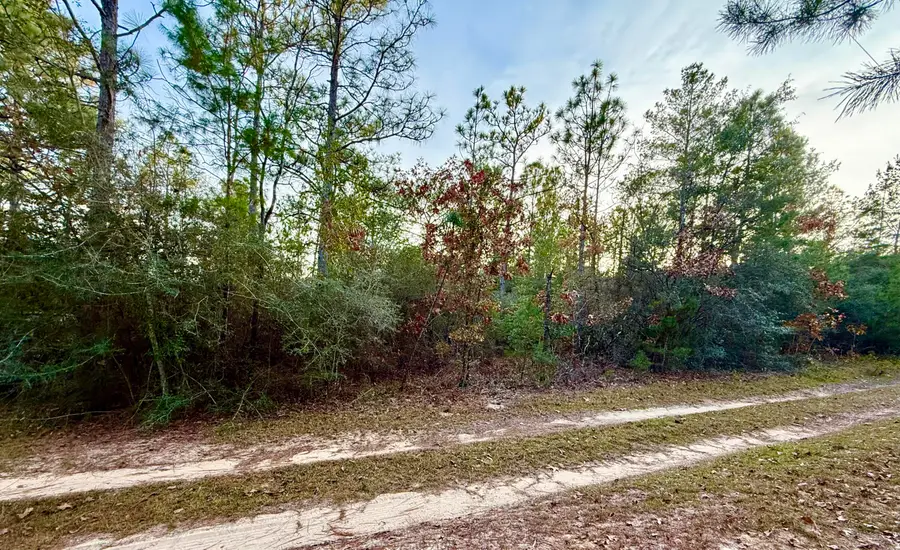 Lots 9-11 Tangerine & Lot 2 Girl Scout, Defuniak Springs, FL 32433 - #3
