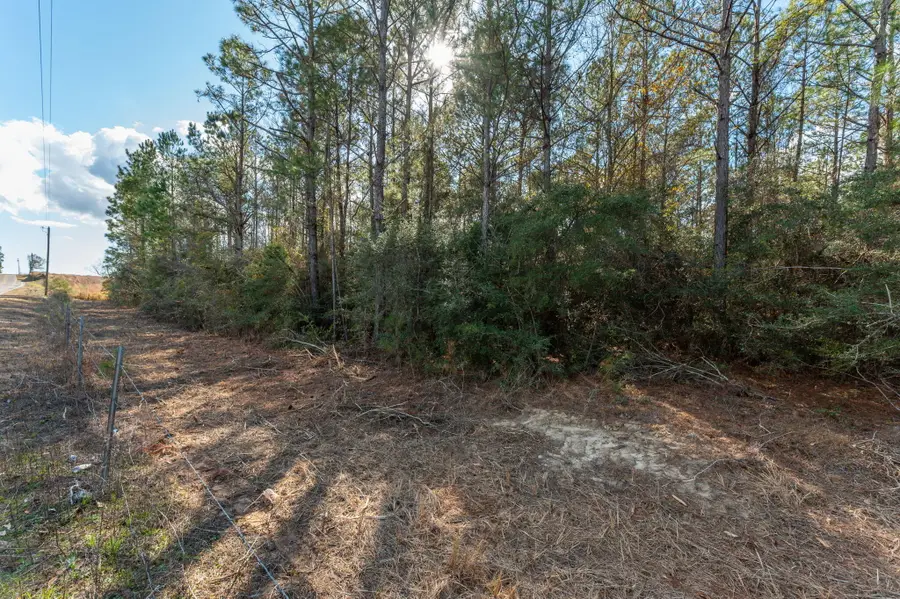 14.3 AC xx Campbell Road, Defuniak Springs, FL 32435 - #3