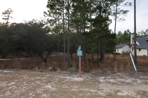 1539 Shark's Tooth Trail, Panama City Beach, FL 32413