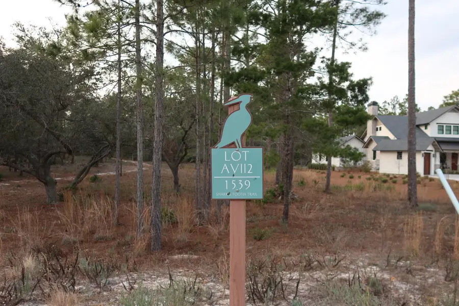 1539 Shark's Tooth Trail, Panama City Beach, FL 32413 - #2