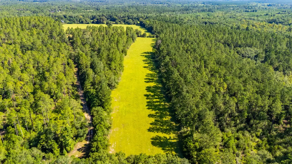 0 Yorkey Road, Westville, FL 32464 - #1