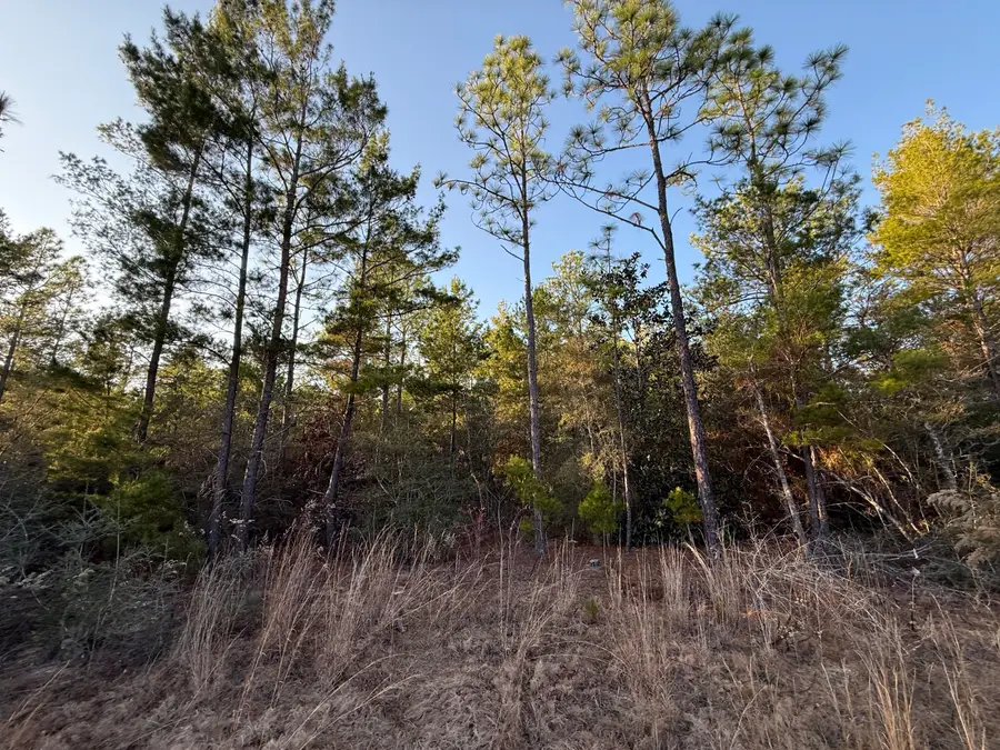 Lot 5 Blk 54 On Forest Lane, Defuniak Springs, FL 32433 - #2