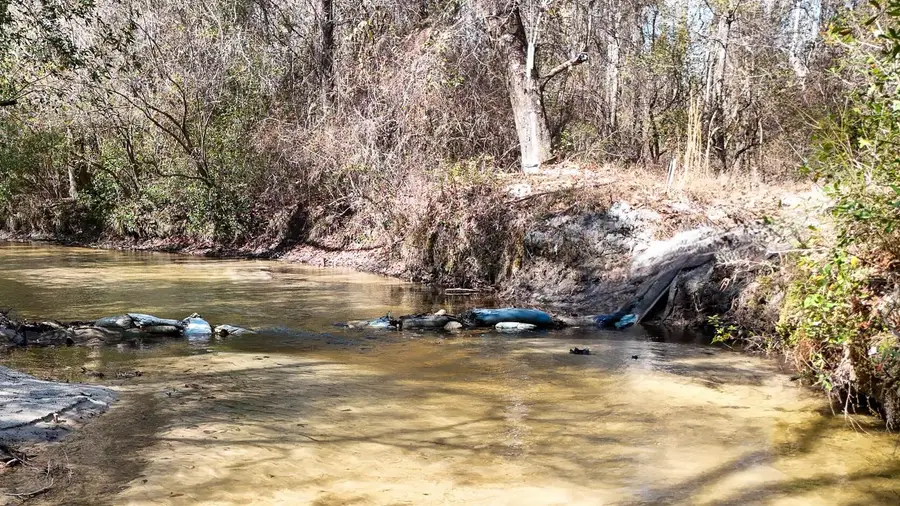 4857 W County Hwy 181, Defuniak Springs, FL 32433 - #3