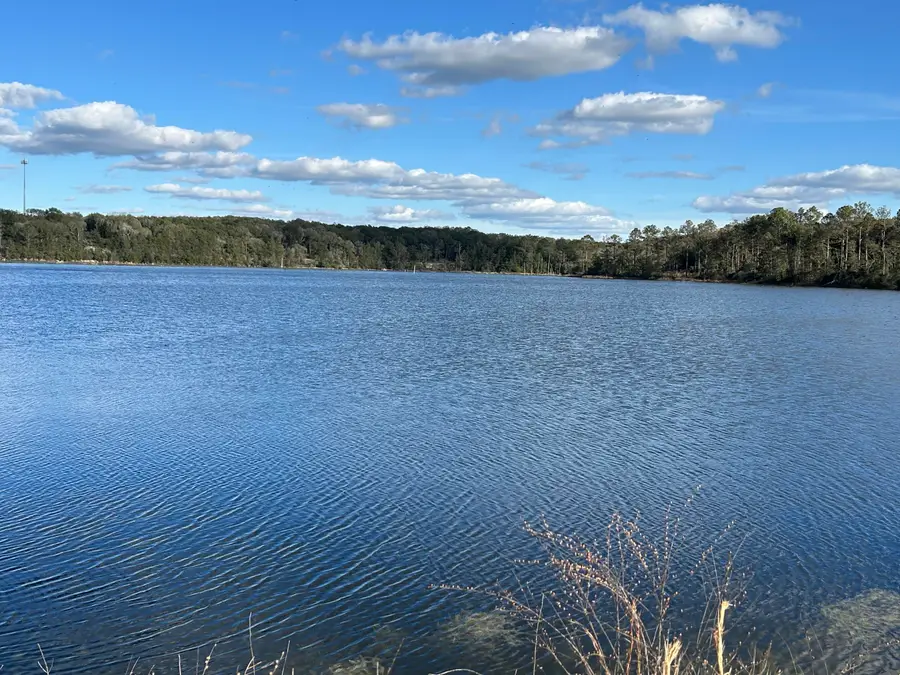 Lot 30 Holly Lake Court, Defuniak Springs, FL 32433 - #2