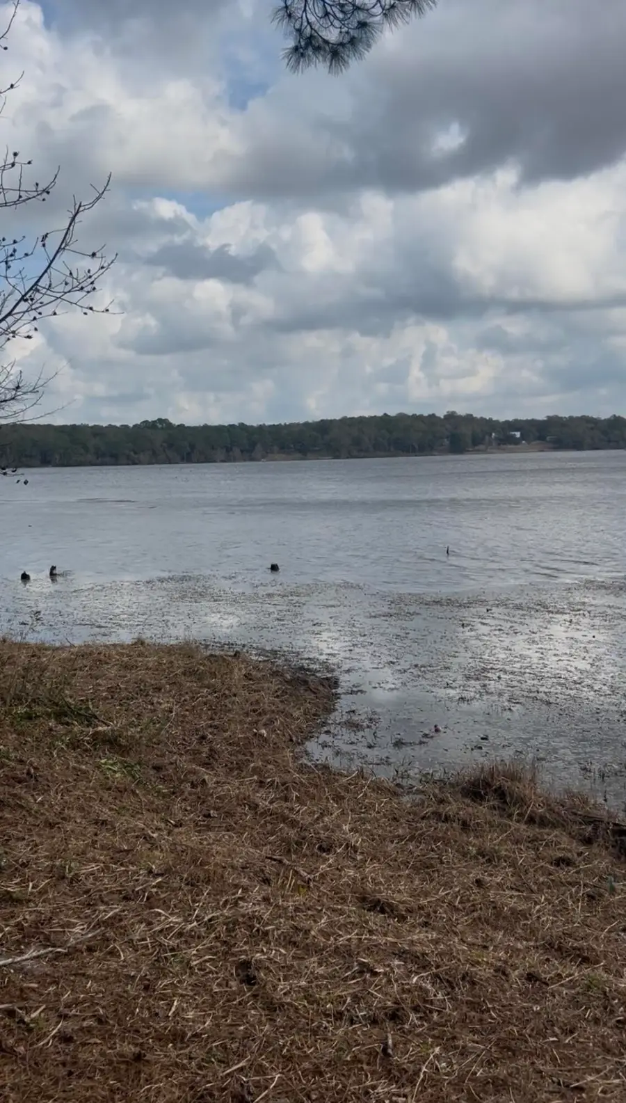 Lot 1 Oak Ridge Road, Defuniak Springs, FL 32433 - #2