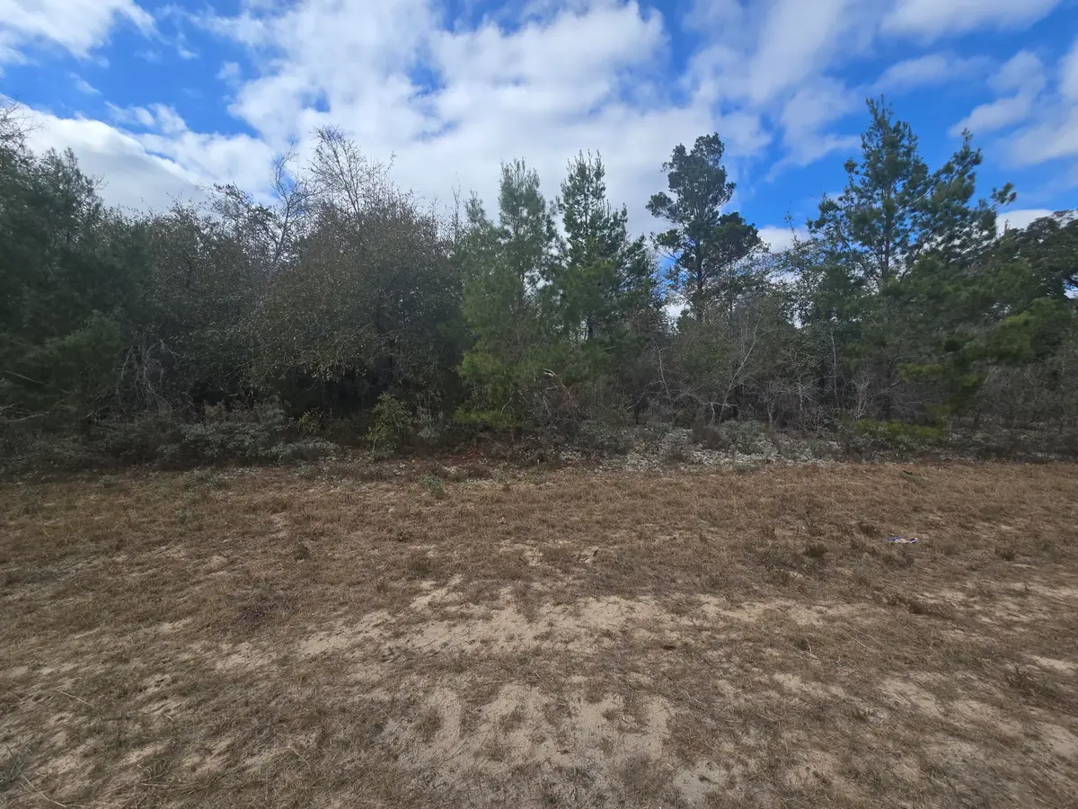 TBD Hampshire Boulevard, Chipley, FL 32428 - #1
