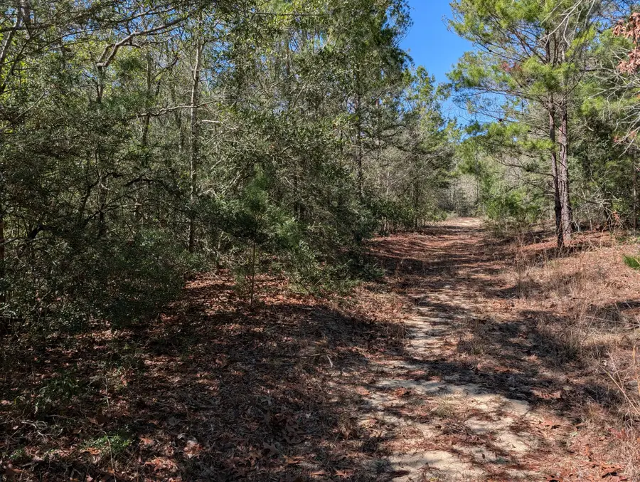 TBD Willow Bend Drive, Defuniak Springs, FL 32433 - #3