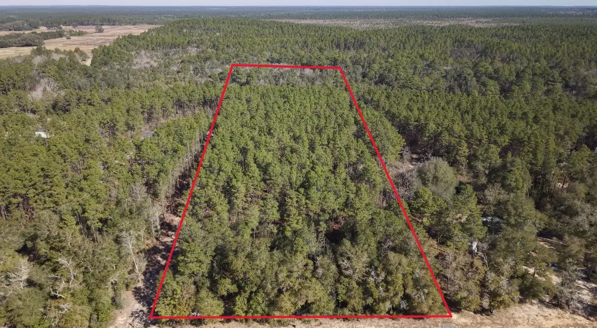 5 acres J W Hollington Road, Freeport, FL 32439 - #1