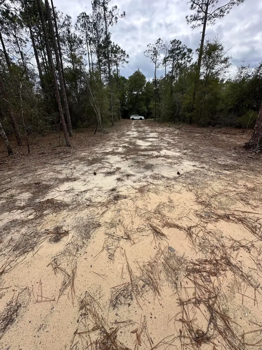 54 Sundance Road, Defuniak Springs, FL 32435 - #3