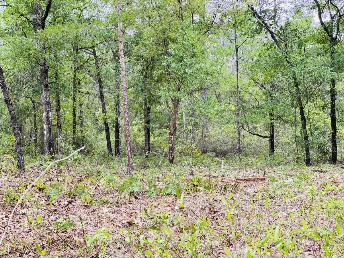 E Black Cherry Dr, Defuniak Springs, FL 32433 - #1