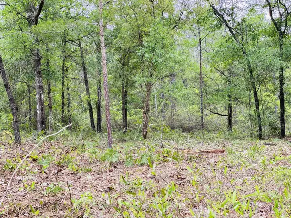 E Black Cherry Dr, DeFuniak Springs, FL 32433