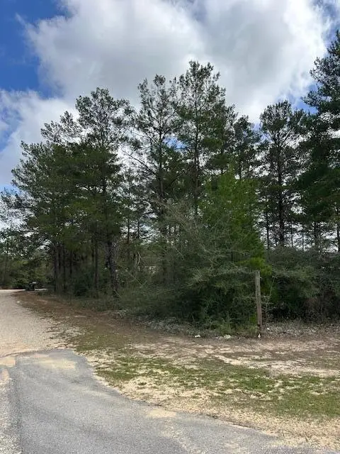 lot 10 E Fernwood Court, Mossy Head, FL 32434