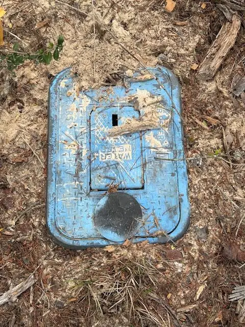 lot 10 E Fernwood Court, Walton, FL 32434 - #3