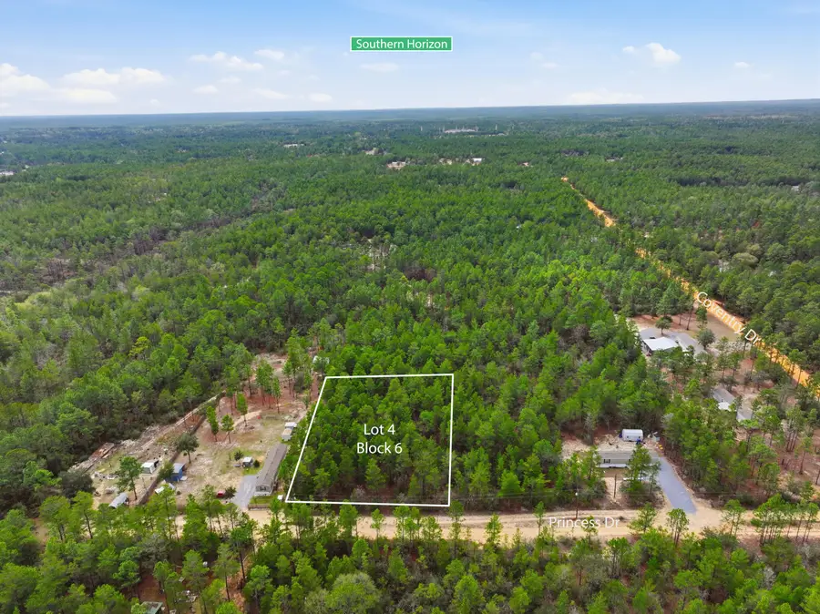 4 Princess Drive, Defuniak Springs, FL 32433 - #3