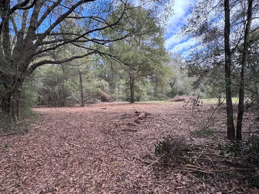 176 Turner Drive, Defuniak Springs, FL 32433 - #3