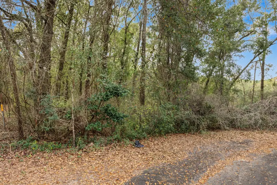 236 Seneca Trail, Crestview, FL 32536 - #3