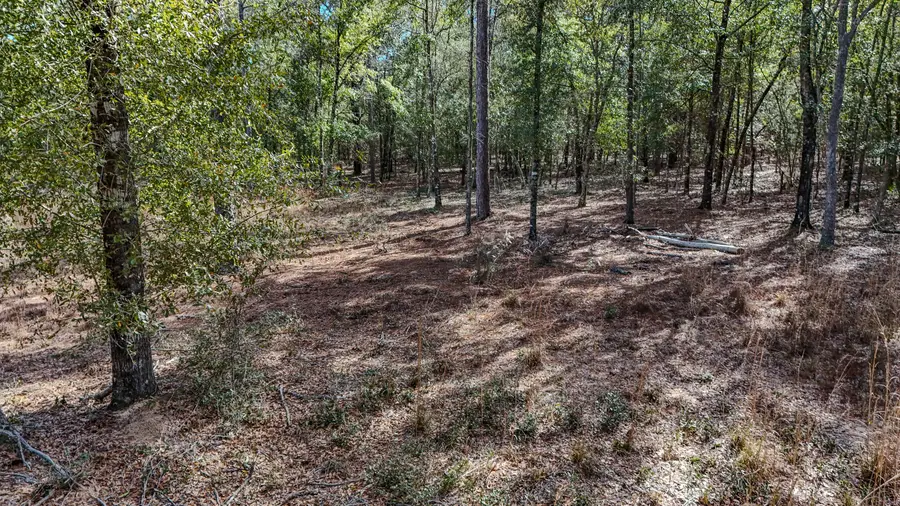 40 Ac Holly Tree Lane, Crestview, FL 32539 - #2