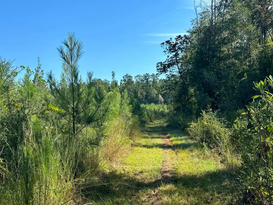 Parcel L Buck Tyner Road, Laurel Hill, FL 32567 - #2