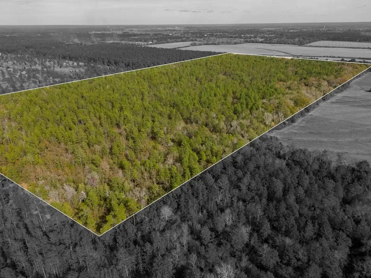 0000 N Bob Brooks Road, Baker, FL 32531 - #1