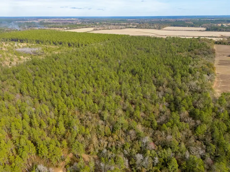 0000 N Bob Brooks Road, Baker, FL 32531 - #2