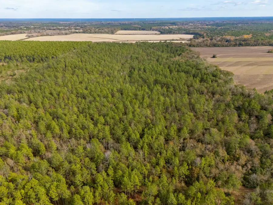 0000 N Bob Brooks Road, Baker, FL 32531 - #3