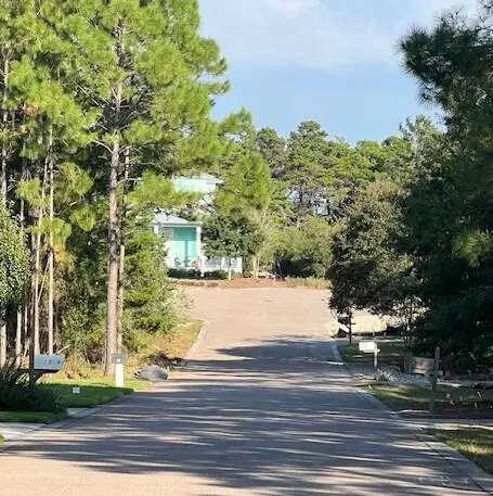 Lot 25 Spotted Dolphin Road, Santa Rosa Beach, FL 32459 - #3