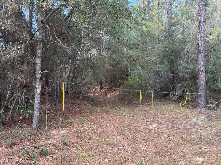 0 Ryan Road, Crestview, FL 32539 - #2