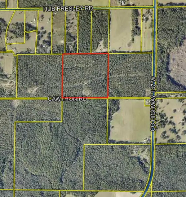 XX Cawthon Road, Laurel Hill, FL 32567