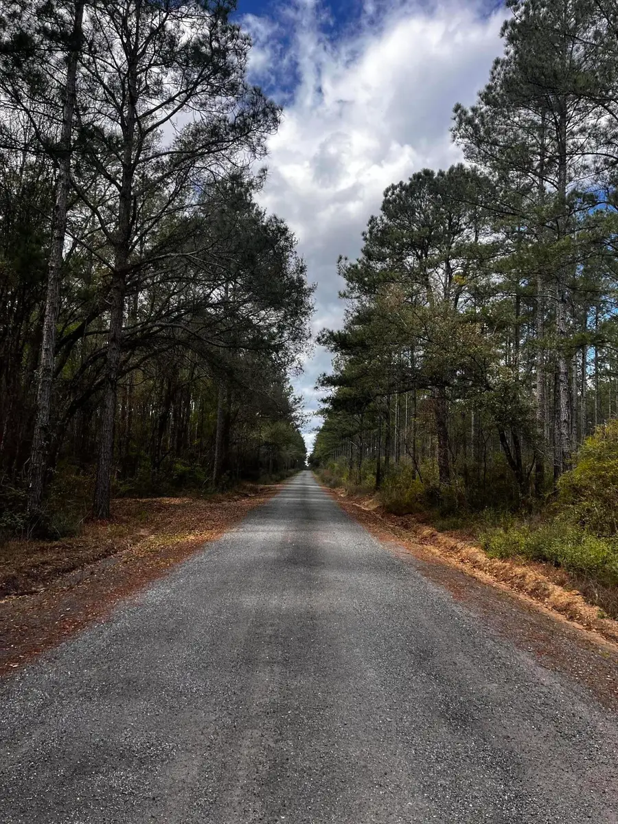 XX Cawthon Road, Laurel Hill, FL 32567 - #3