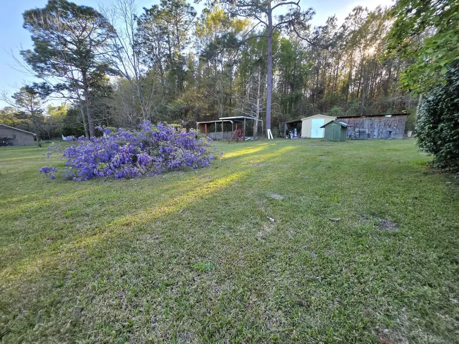 4439 Glen Chambers Road, Florala, AL 36442 - #2