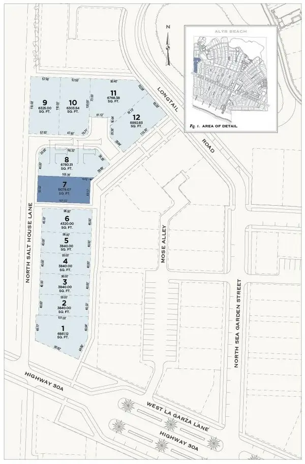 FF7 N Salt House Lane, Inlet Beach, FL 32461