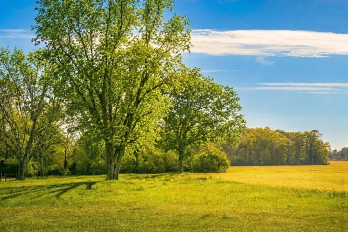 TBD Vinson Ray Road, Baker, FL 32531 - #1