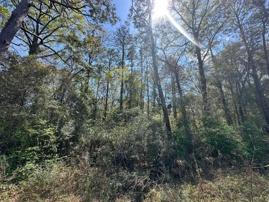 Parcel A Holloway Road, Baker, FL 32531 - #2