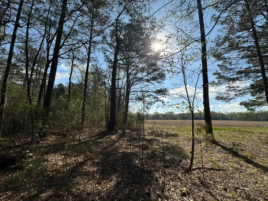 Lot A Snider Avenue, Other, AL 00N/A - #2