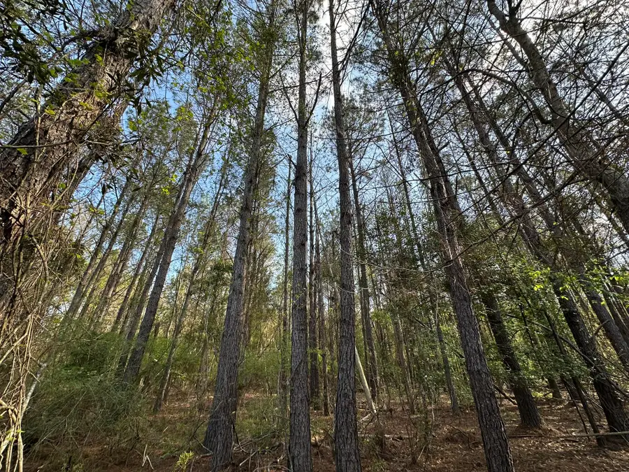 Lot A Snider Avenue, Other, AL 00N/A - #3