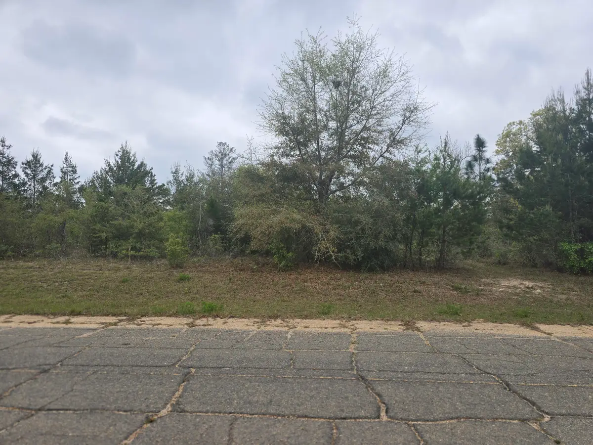 TBD2 Otis Lane, Chipley, FL 32428 - #1