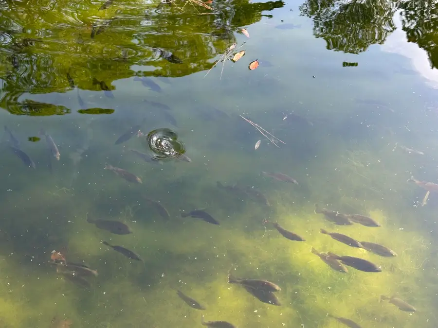 3421 Airport Road, Crestview, FL 32539 - #2