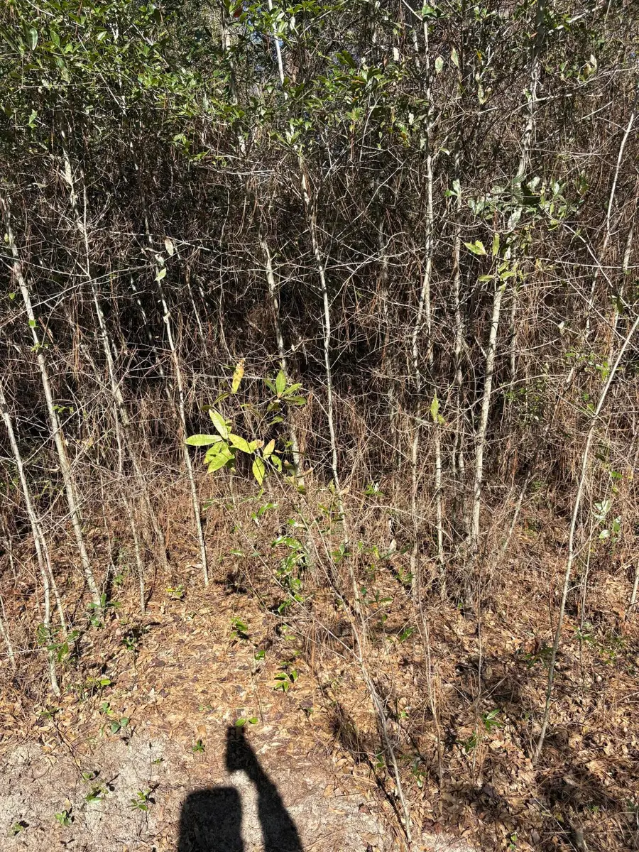 105 Eagle Court, Crestview, FL 32539 - #3