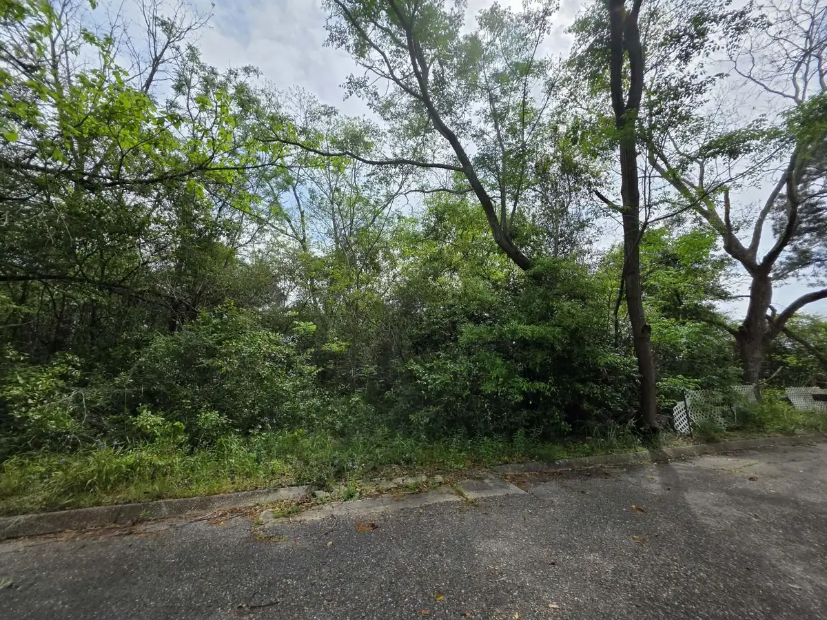 Lot 3 & 4 Gordon Road, Florala, AL 36442 - #1