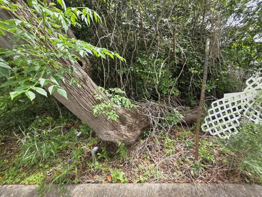 Lot 3 & 4 Gordon Road, Florala, AL 36442 - #3