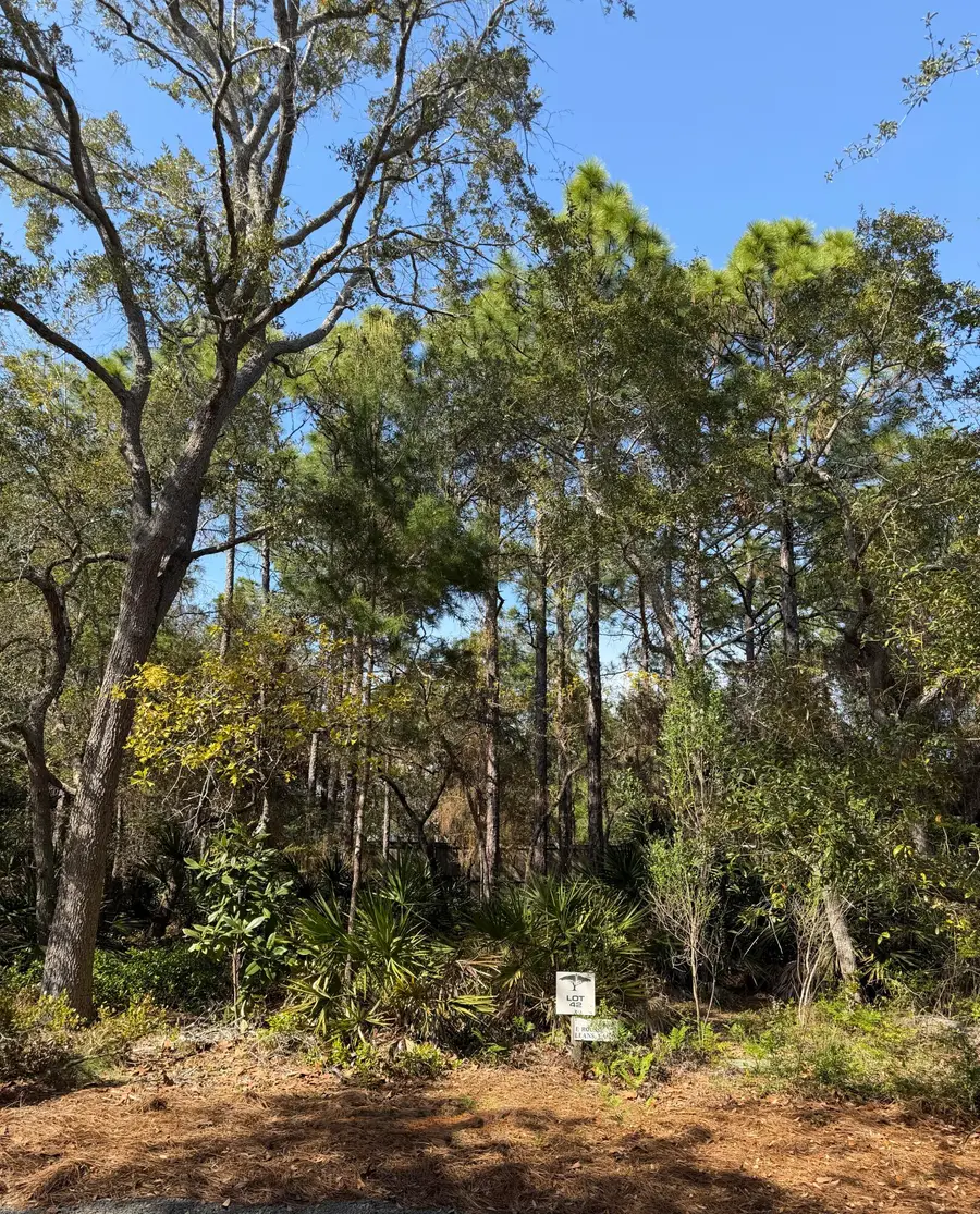 42 Bosk Lane, Santa Rosa Beach, FL 32459 - #3