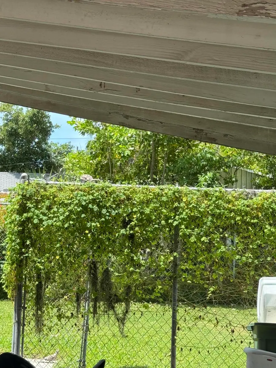 1521 Rose Street, Key West, FL 33040 - #3