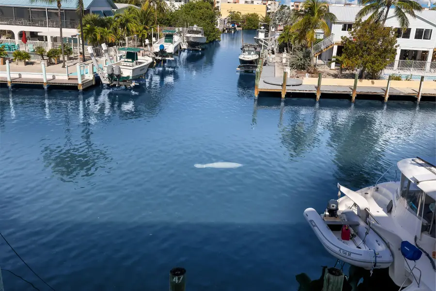 21 Sombrero Boulevard #307, Marathon, FL 33050 - #2