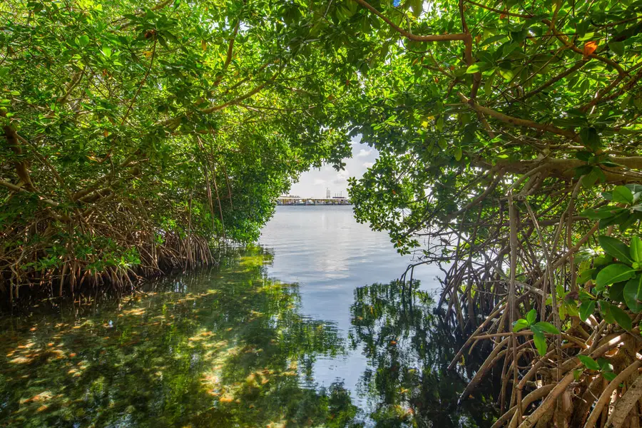 901 Eisenhower Drive, Key West, FL 33040 - Image #3